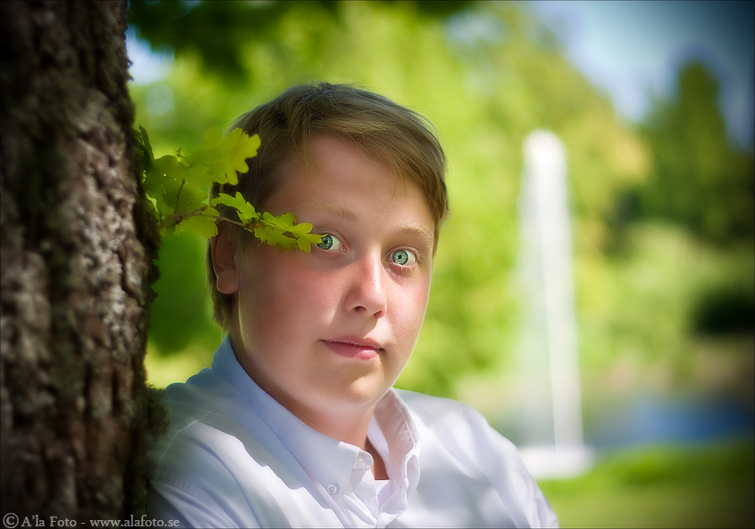 Copyright Anneli Larsson www.alafoto.se