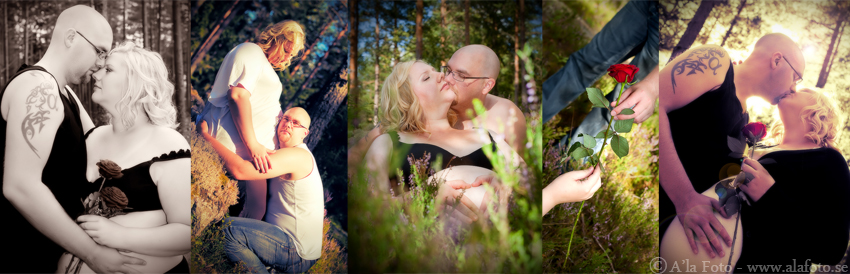 Copyright Anneli Larsson www.alafoto.se