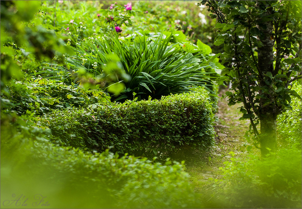 blommig_fredag_hemliga_tradgarden