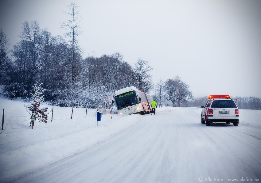 Copyright Anneli Larsson www.alafoto.se