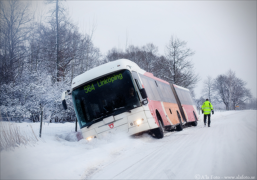 Copyright Anneli Larsson www.alafoto.se