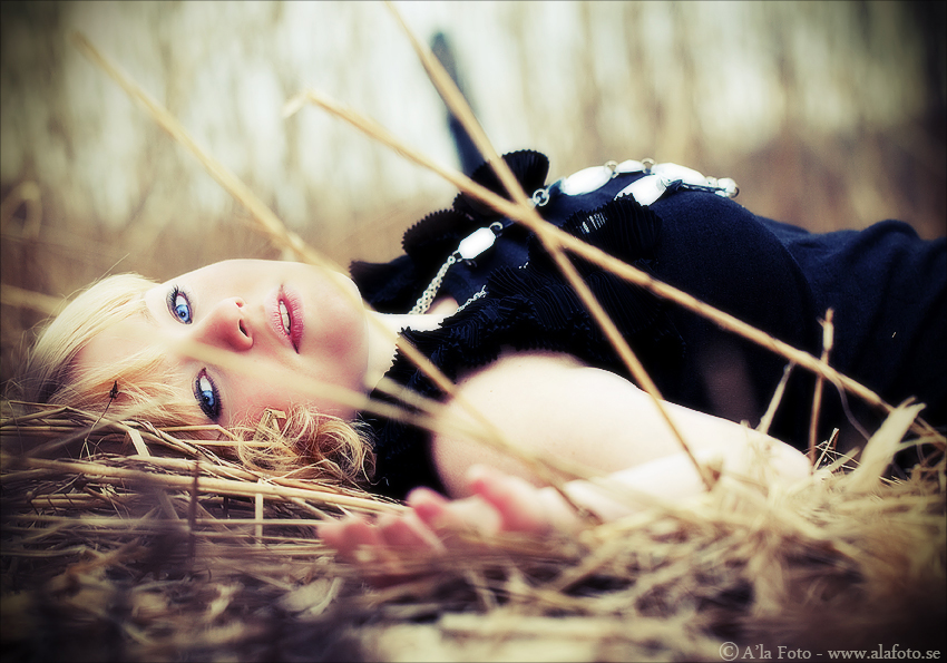 Copyright Anneli Larsson www.alafoto.se