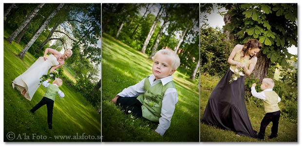 Copyright Anneli Larsson www.alafoto.se