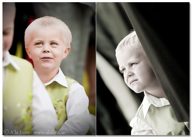 Copyright Anneli Larsson www.alafoto.se