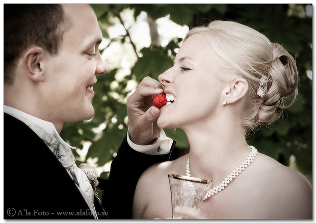 Copyright Anneli Larsson www.alafoto.se