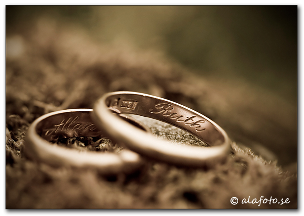 weddingrings.jpg