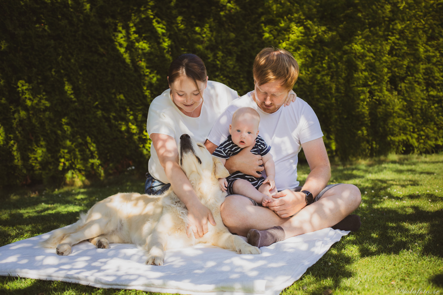 Familjefotografering