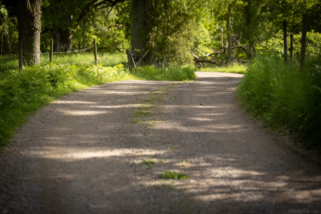 en sommardag