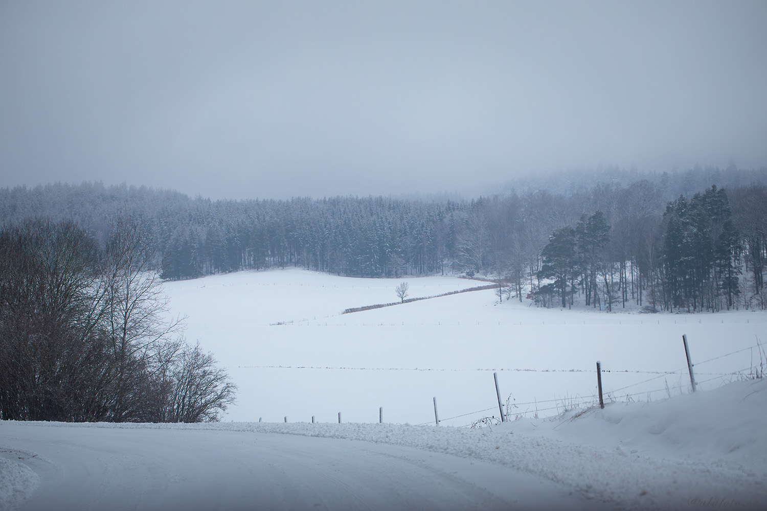 Rekognoscera genom vinterlandskapet!