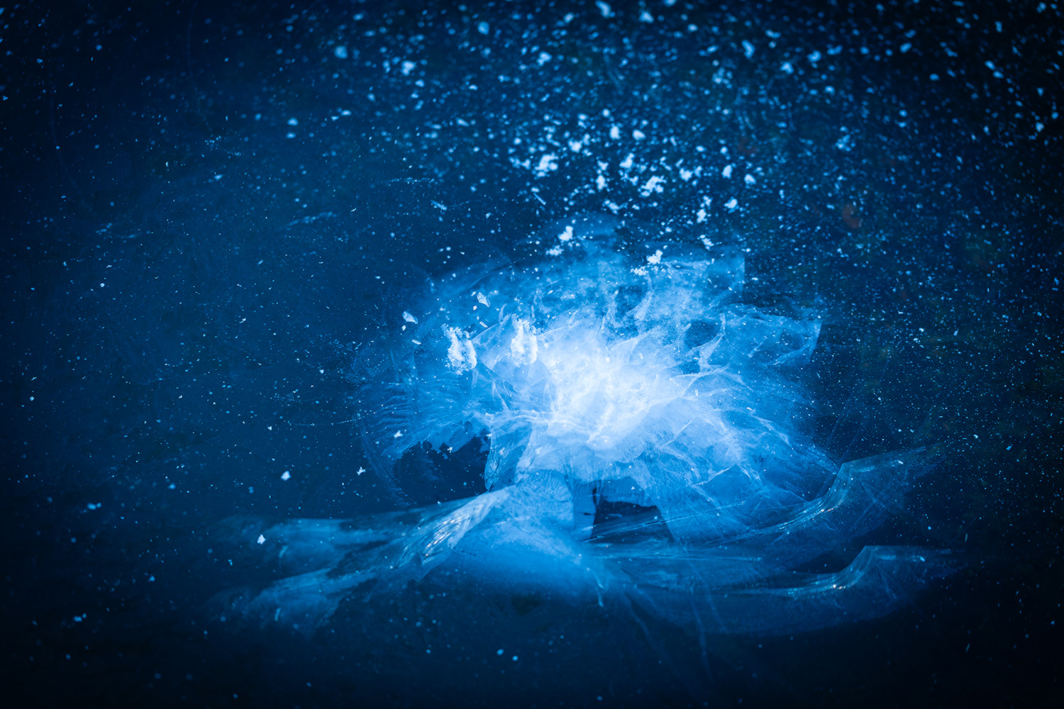 Isträdet - Naturens egen konst!