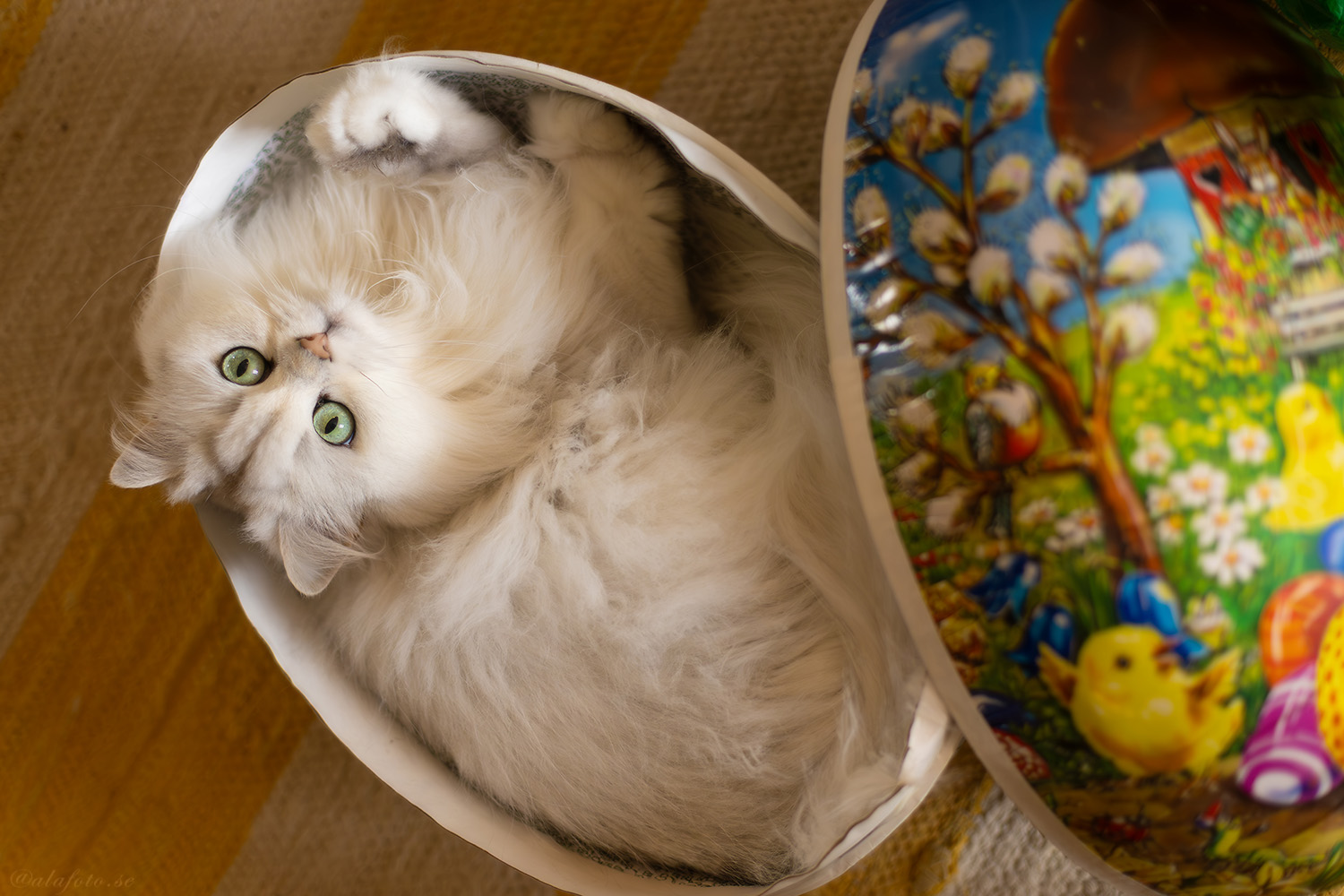 Trassel och påskägget!