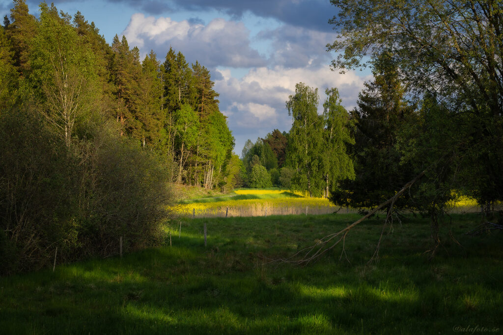 Tinnerö naturreservat