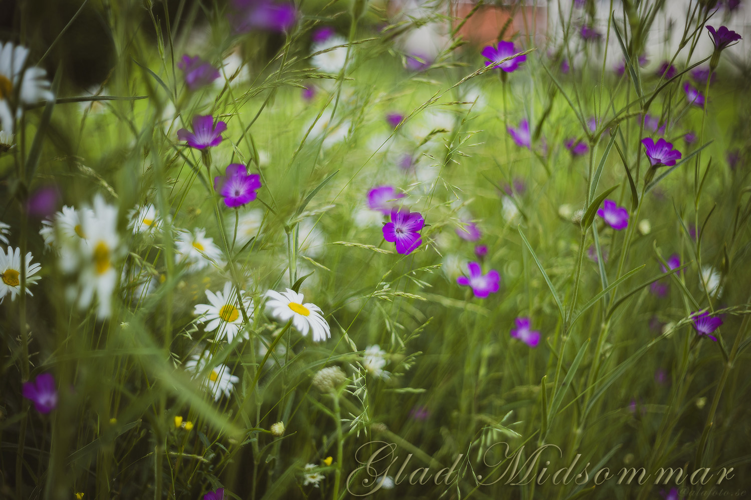 Glad Midsommar!