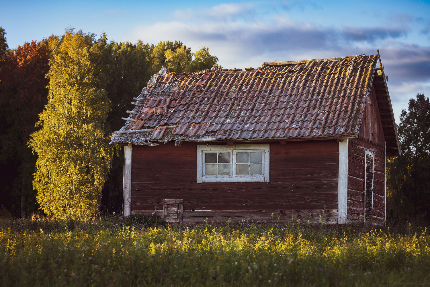 Huset! 